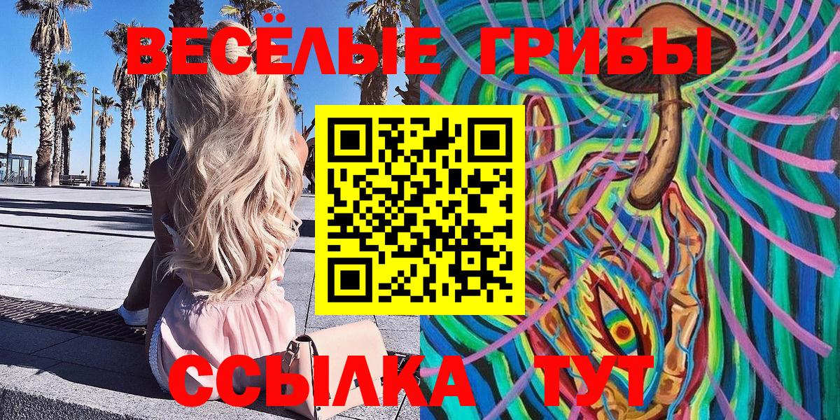 Мыски  Псилоцибиновые грибы Cubensis  Вход с VPN 